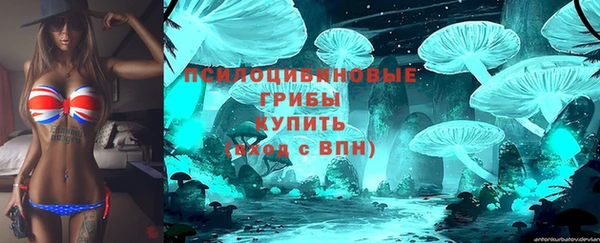 дурь Алзамай