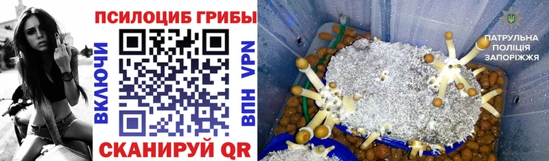 Псилоцибиновые грибы мухоморы  blacksprut зеркало  даркнет клад  где купить наркотик  Порхов 